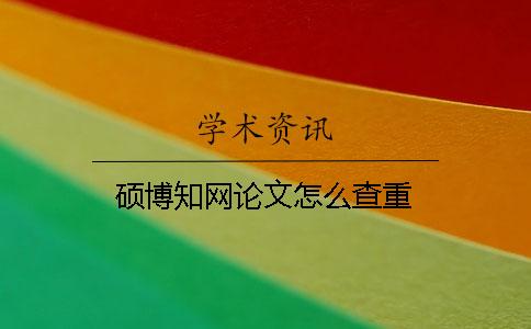 硕博知网论文怎么查重