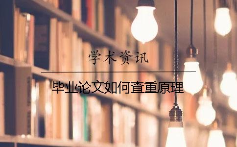 毕业论文如何查重原理