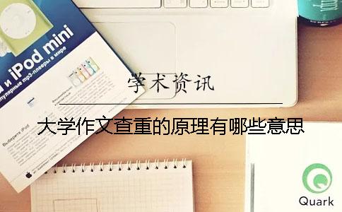 大学作文查重的原理有哪些意思