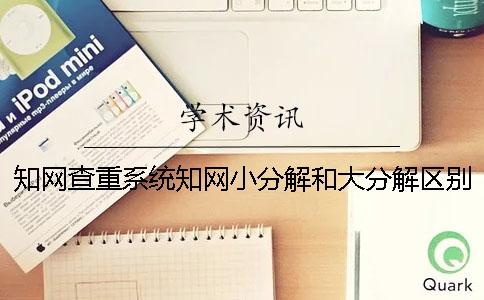 知网查重系统知网小分解和大分解区别是什么