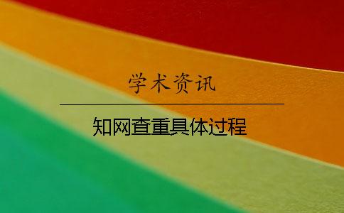 知网查重具体过程