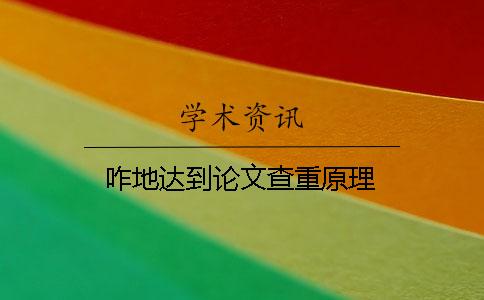 咋地达到论文查重原理