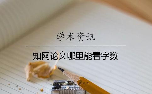 知网论文哪里能看字数