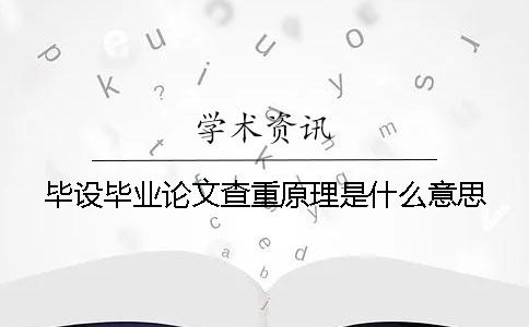 毕设毕业论文查重原理是什么意思