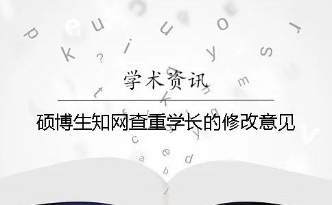 硕博生知网查重学长的修改意见