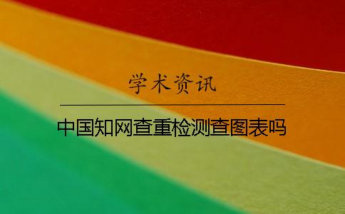 中国知网查重检测查图表吗