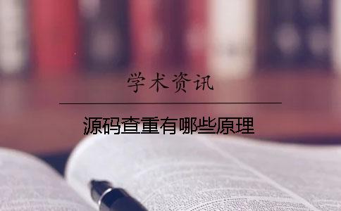 源码查重有哪些原理